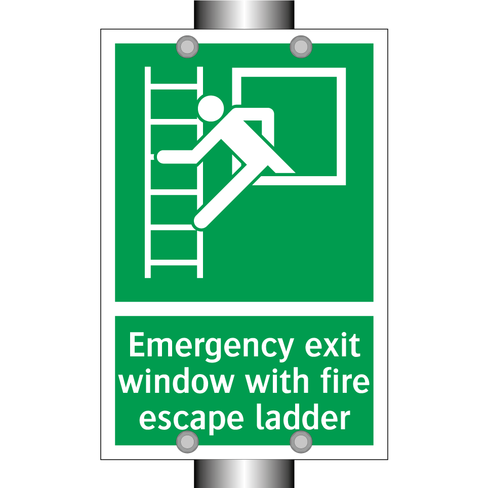 Emergency exit window with fire escape ladder
