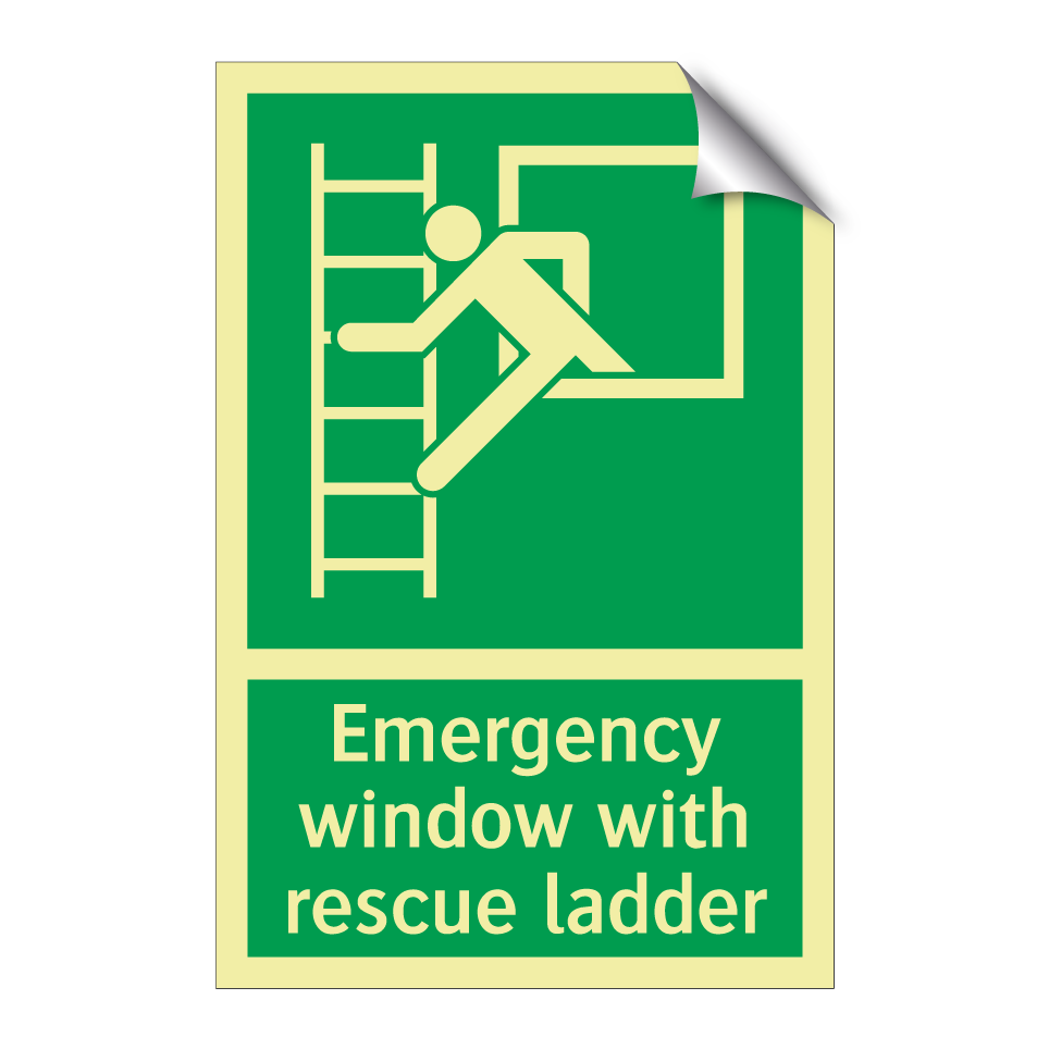 Emergency window with rescue ladder