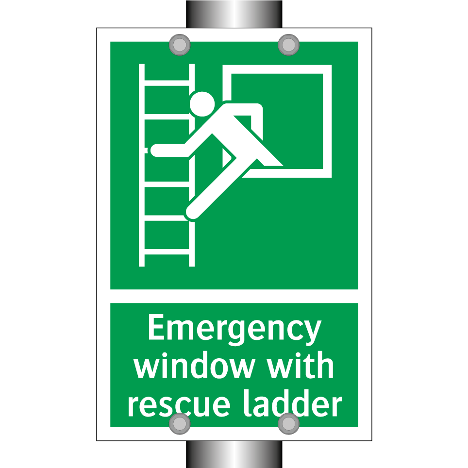 Emergency window with rescue ladder