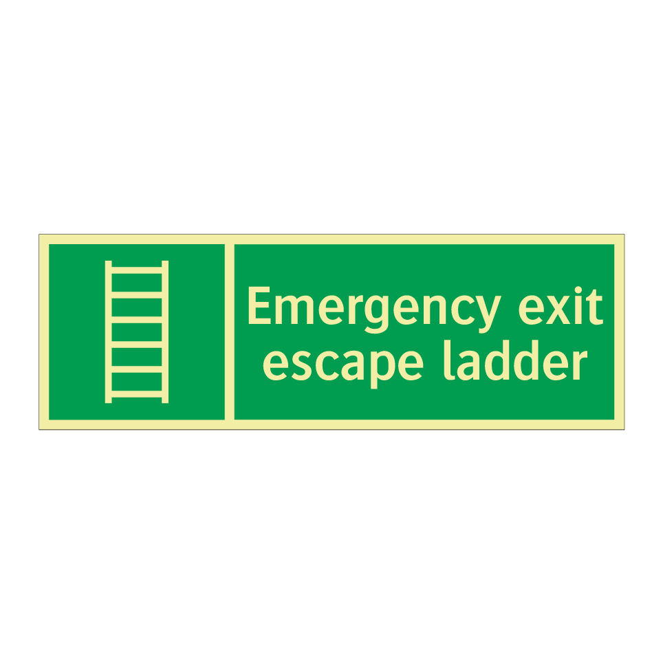 Emergency exit escape ladder