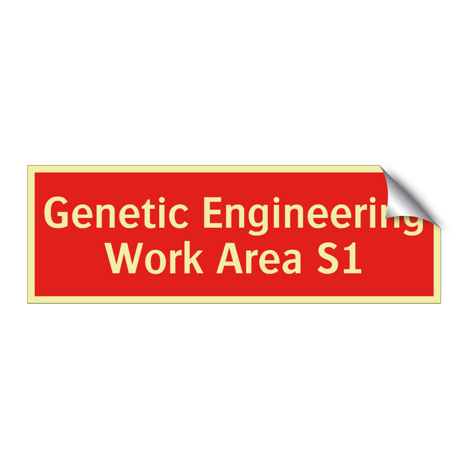 Genetic Engineering Work Area S1