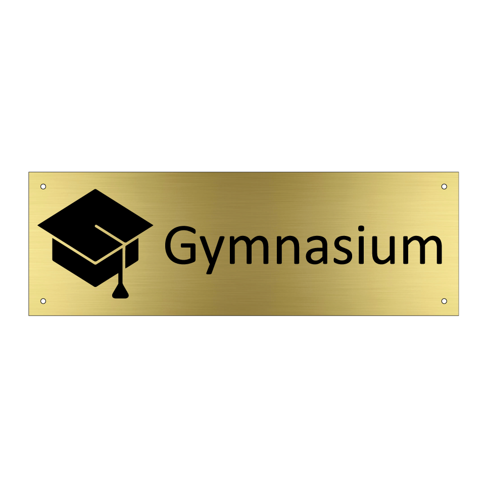 Gymnasium