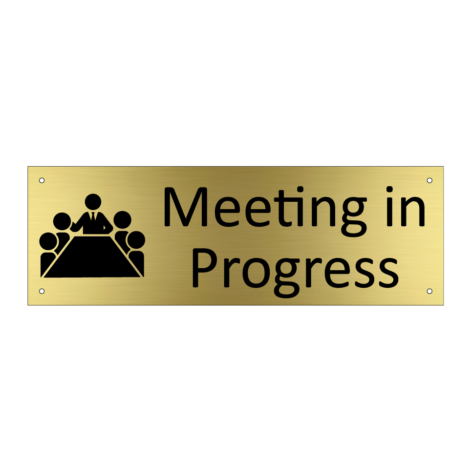 Meeting in Progress