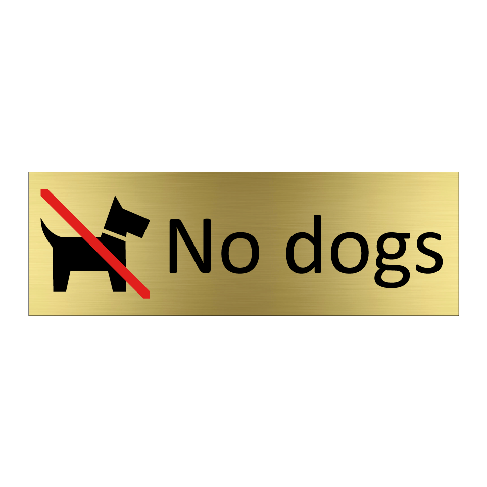 No dogs