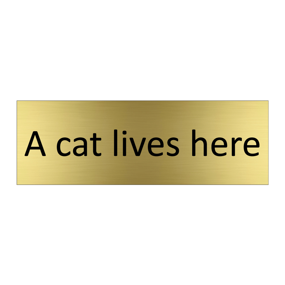 A cat lives here