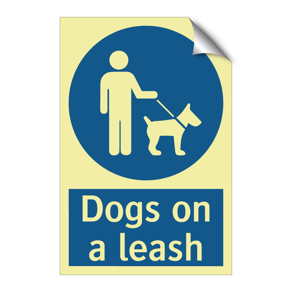 Dogs on a leash