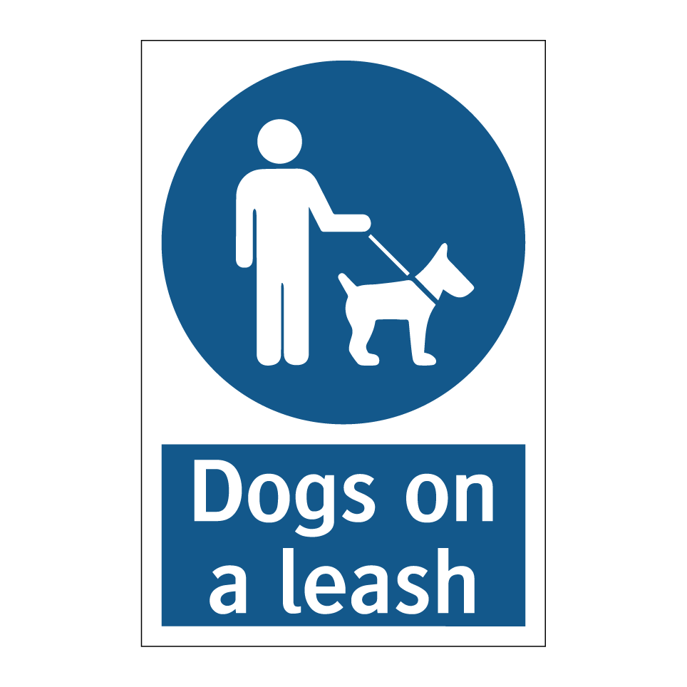 Dogs on a leash