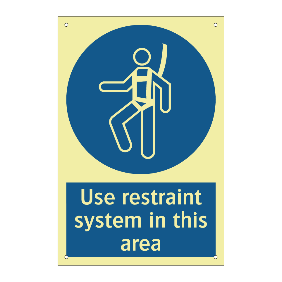 Use restraint system in this area