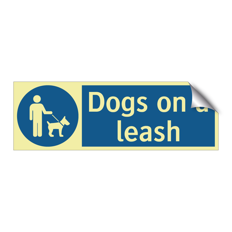 Dogs on a leash