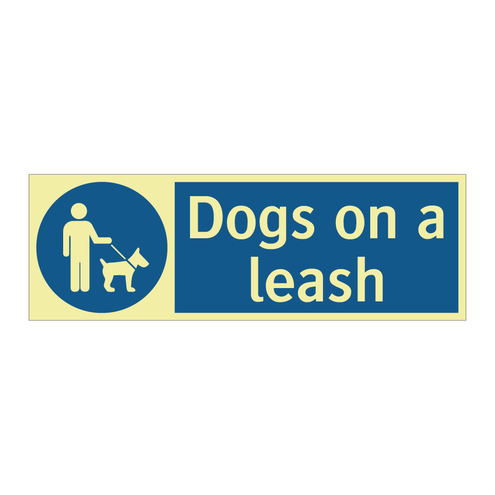 Dogs on a leash