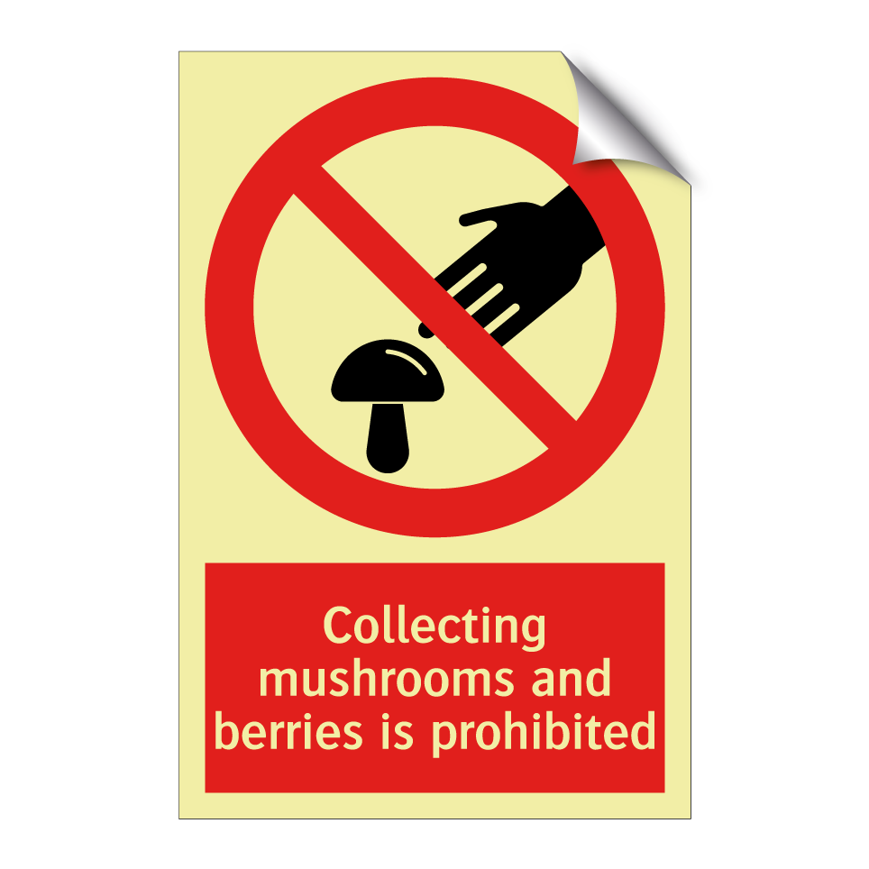 Collecting mushrooms and berries is prohibited