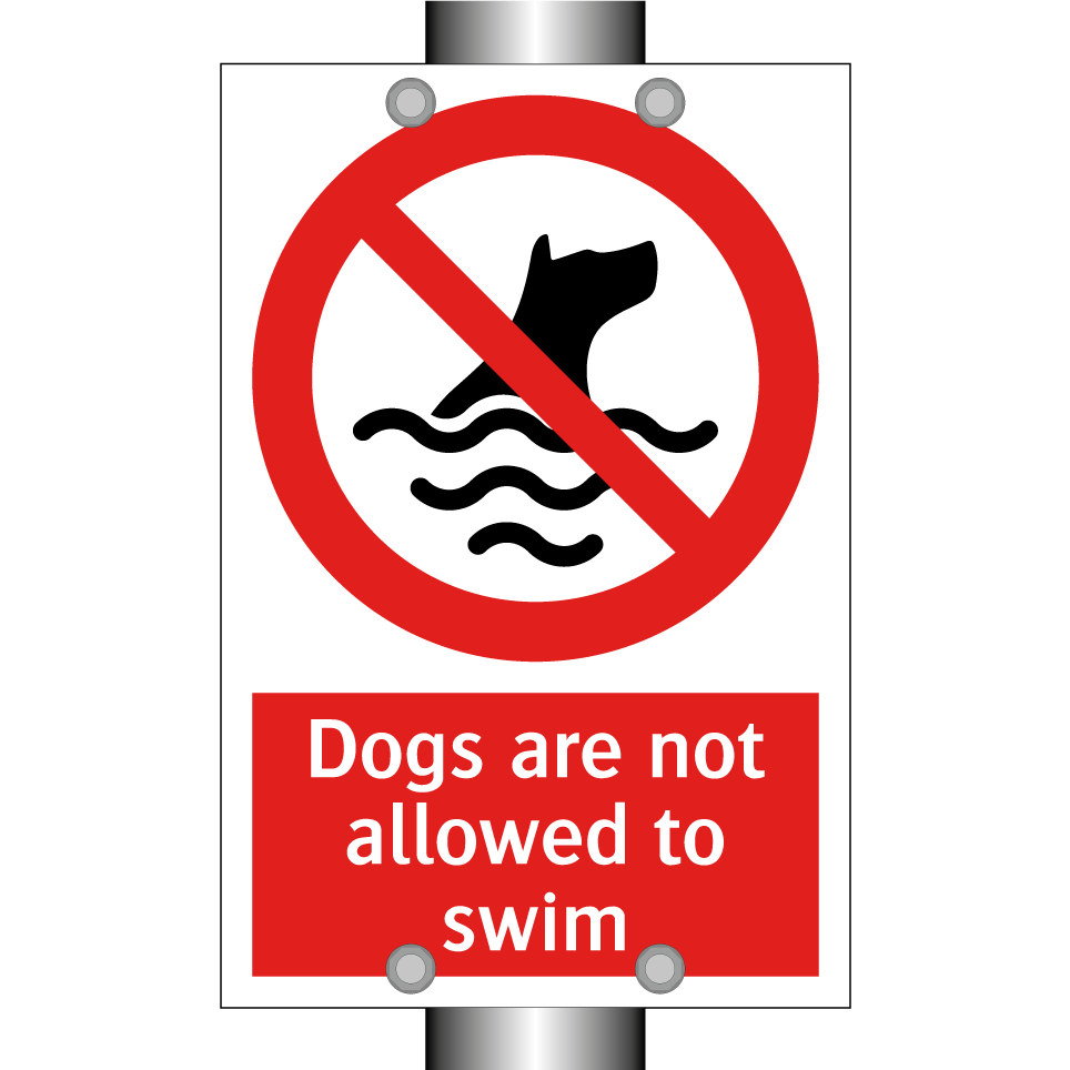 Dogs are not allowed to swim