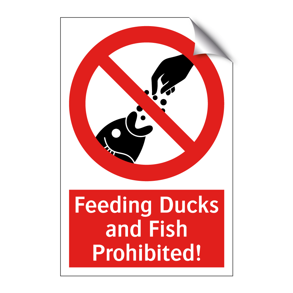 Feeding Ducks and Fish Prohibited!