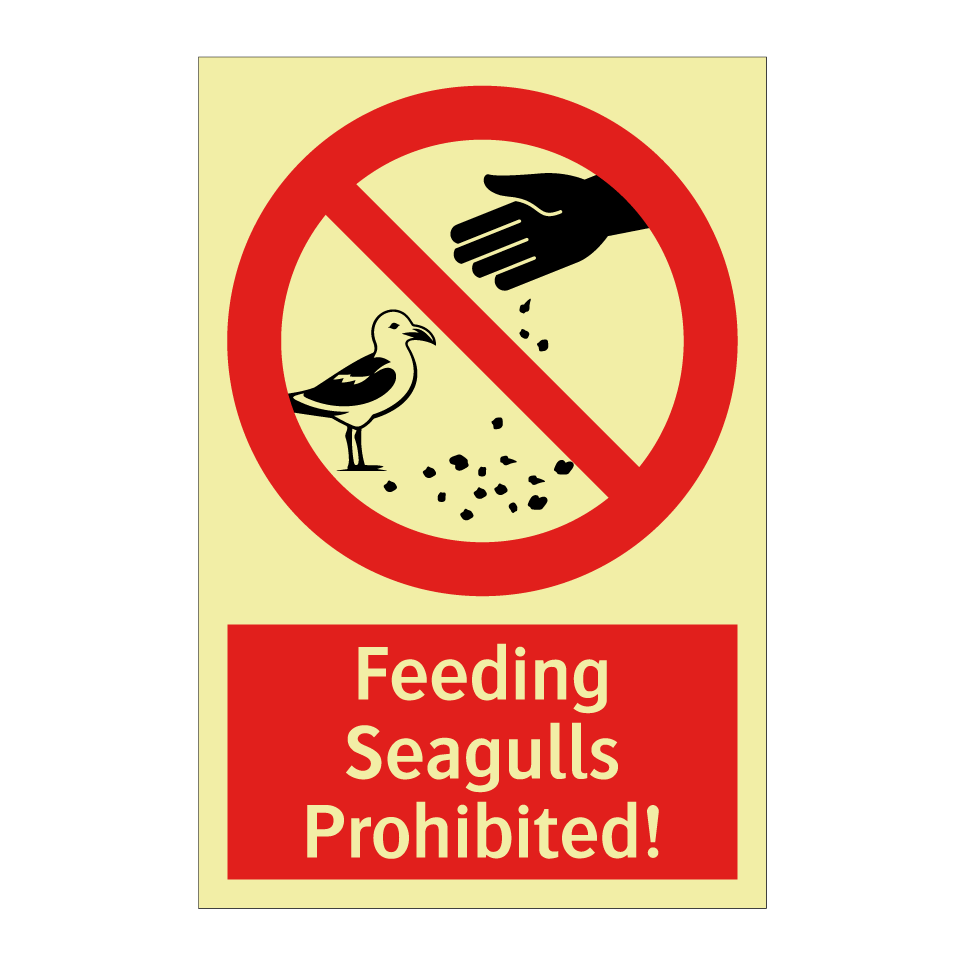 Feeding Seagulls Prohibited!