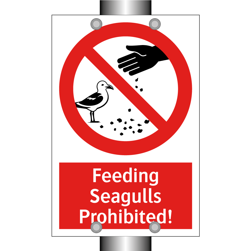 Feeding Seagulls Prohibited!