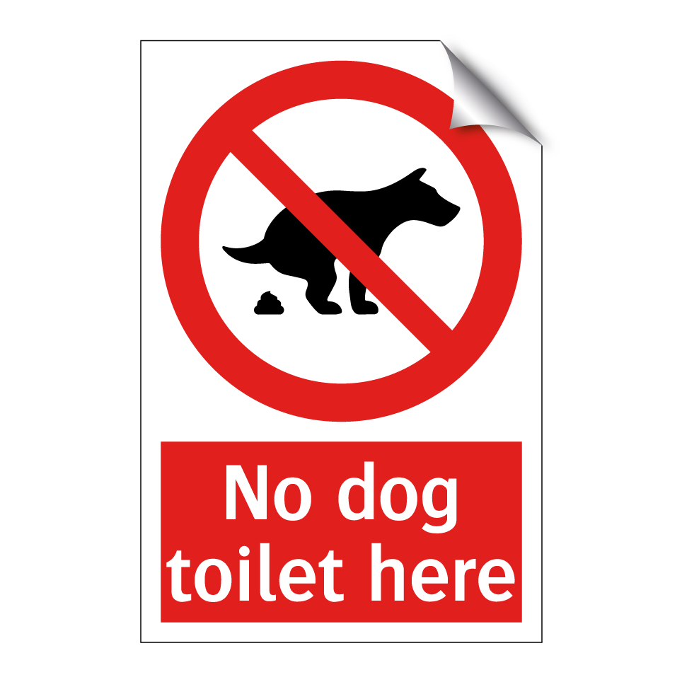 No dog toilet here