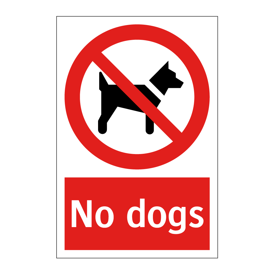 No dogs