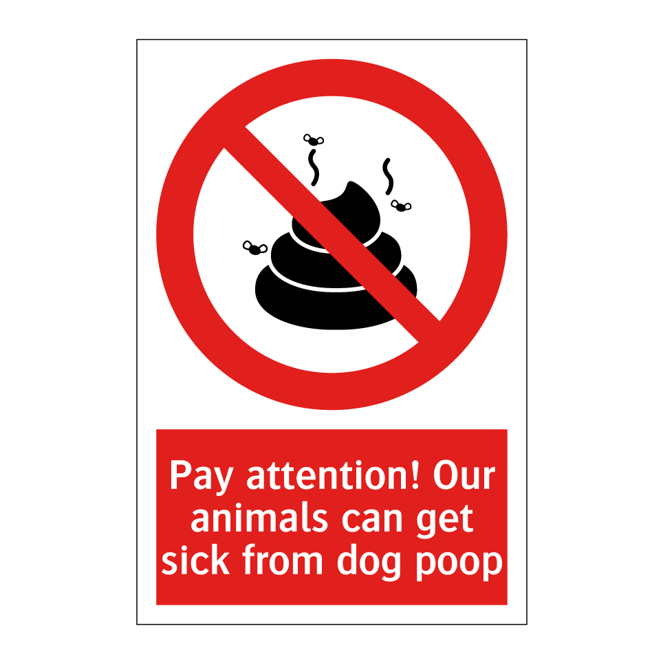 Pay attention! Our animals can get sick from dog poop