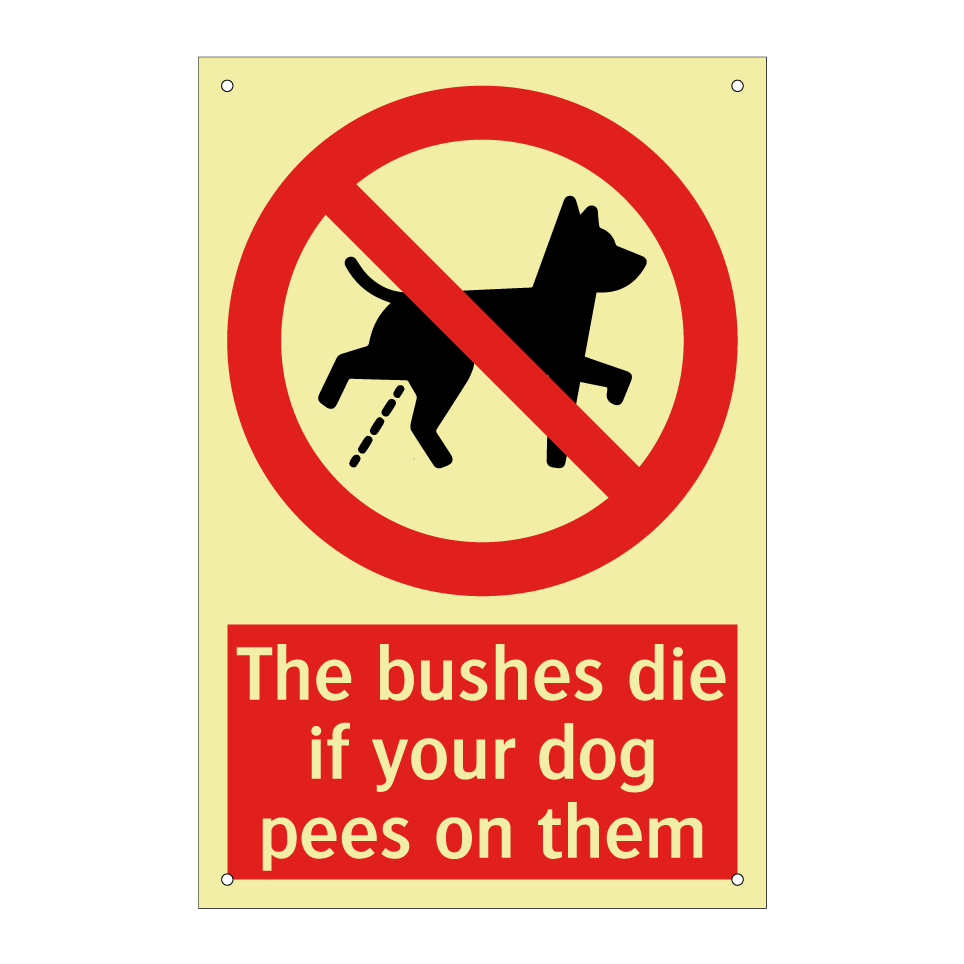The bushes die if your dog pees on them