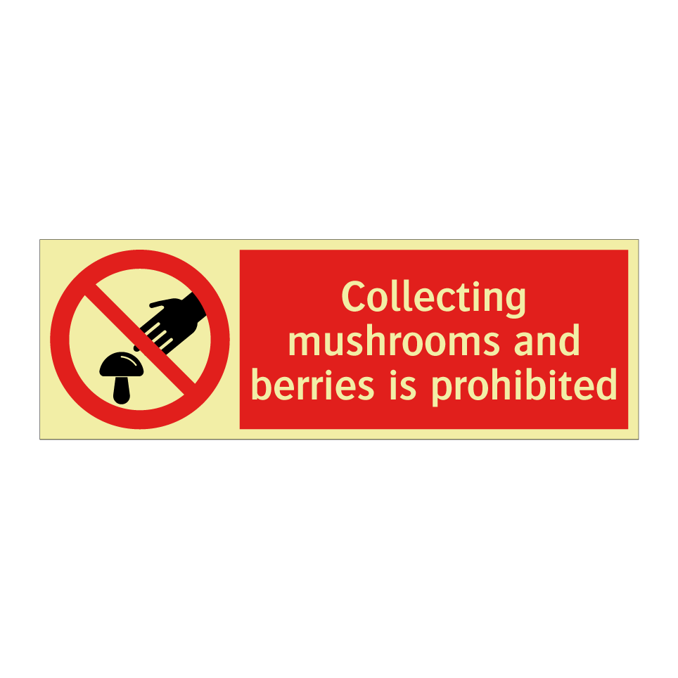 Collecting mushrooms and berries is prohibited