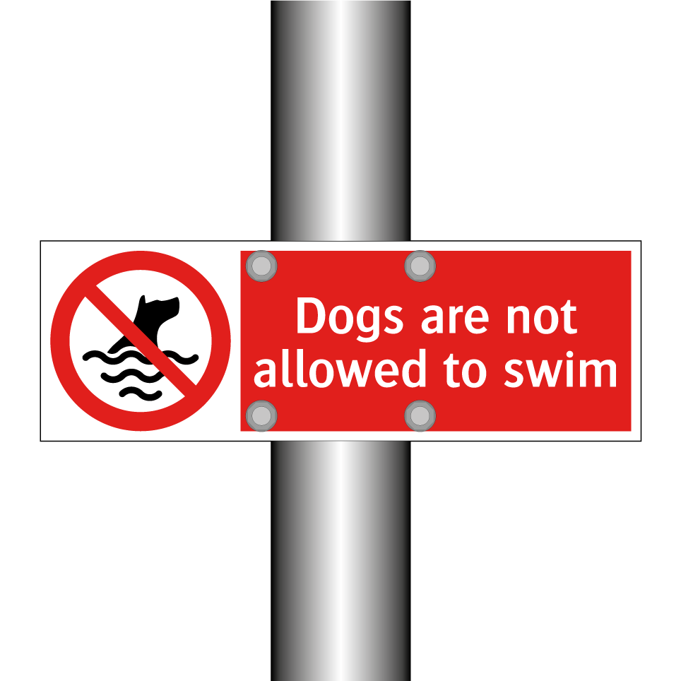 Dogs are not allowed to swim