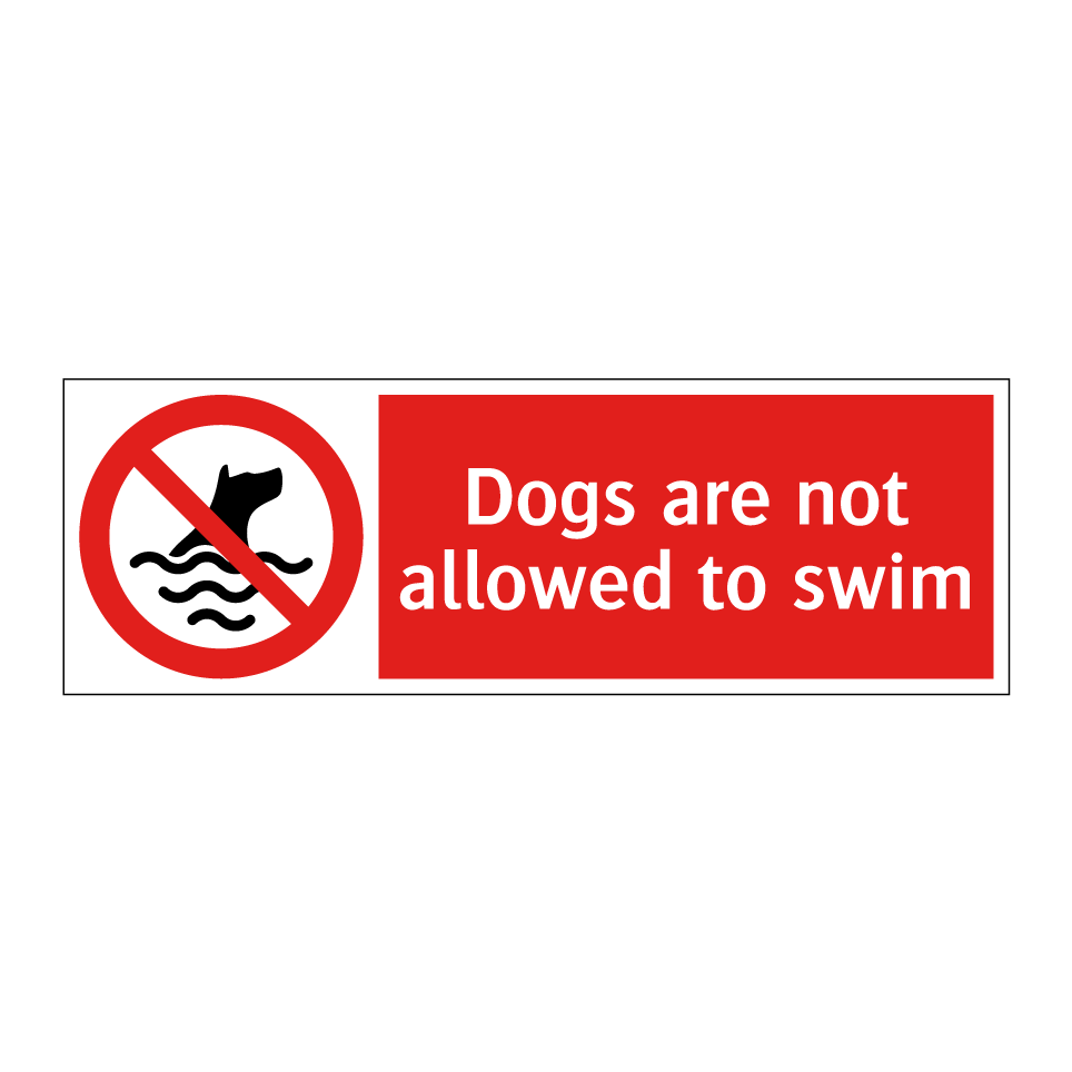 Dogs are not allowed to swim