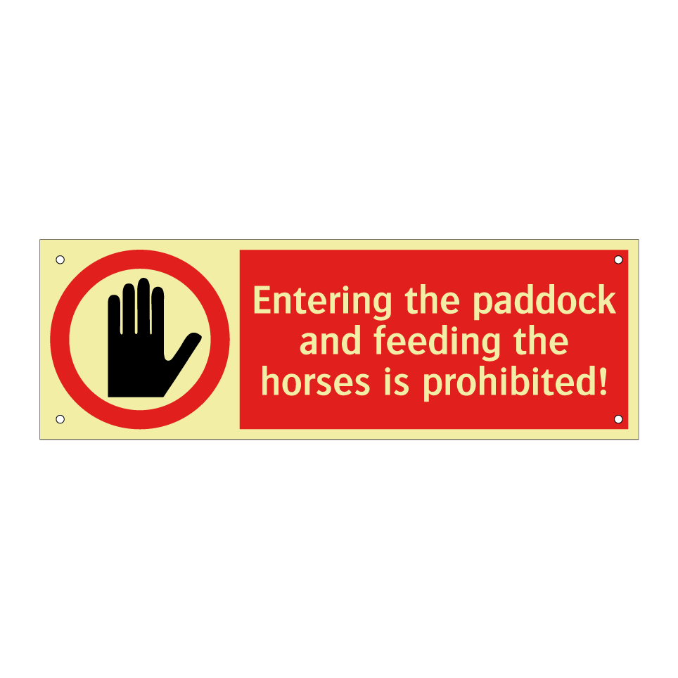 Entering the paddock and feeding the horses is prohibited!