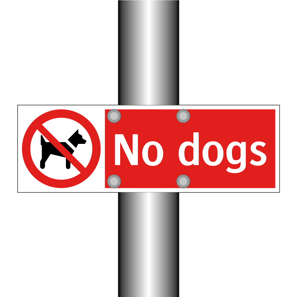 No dogs