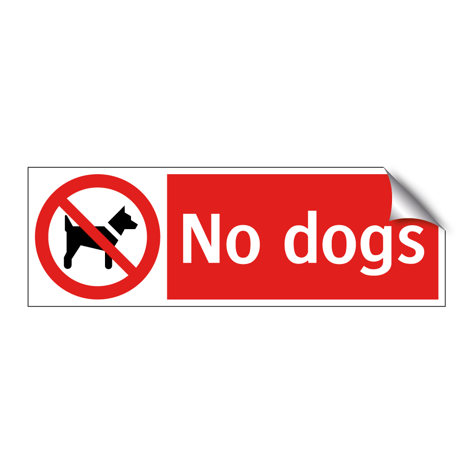 No dogs