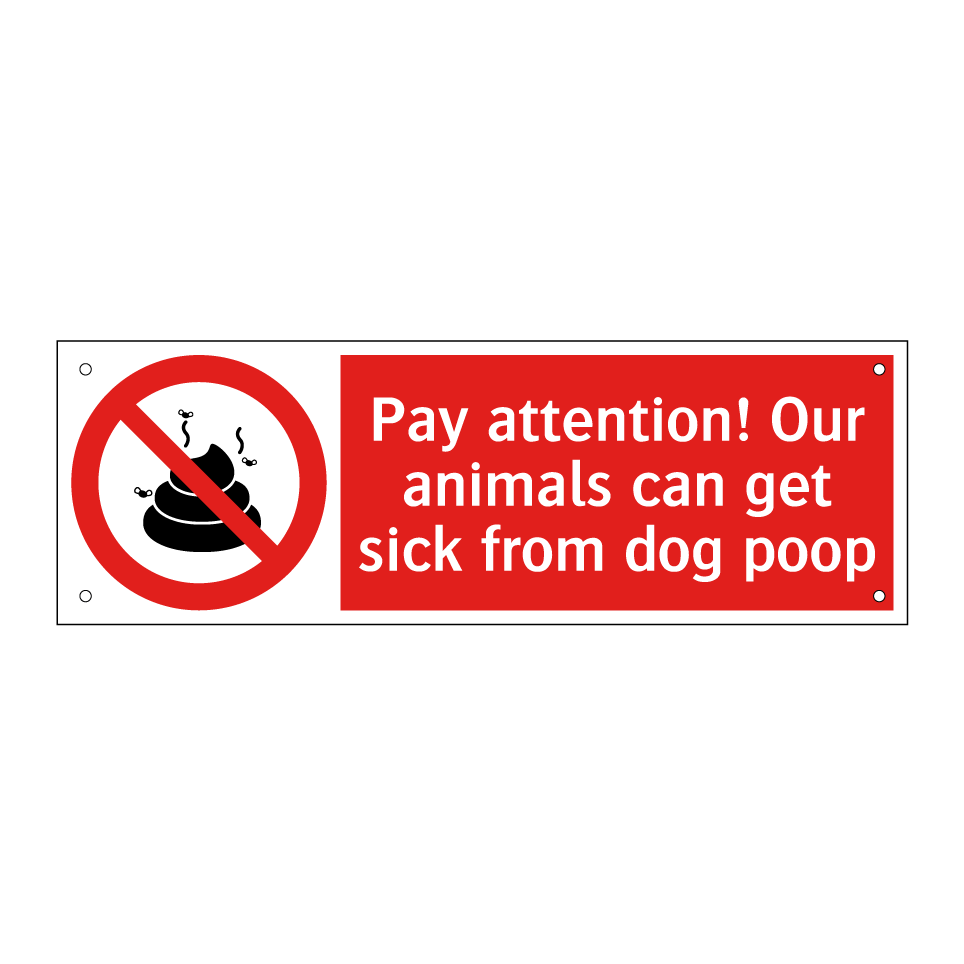 Pay attention! Our animals can get sick from dog poop