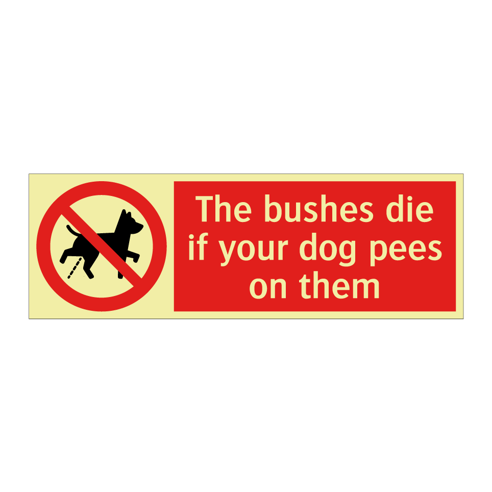 The bushes die if your dog pees on them