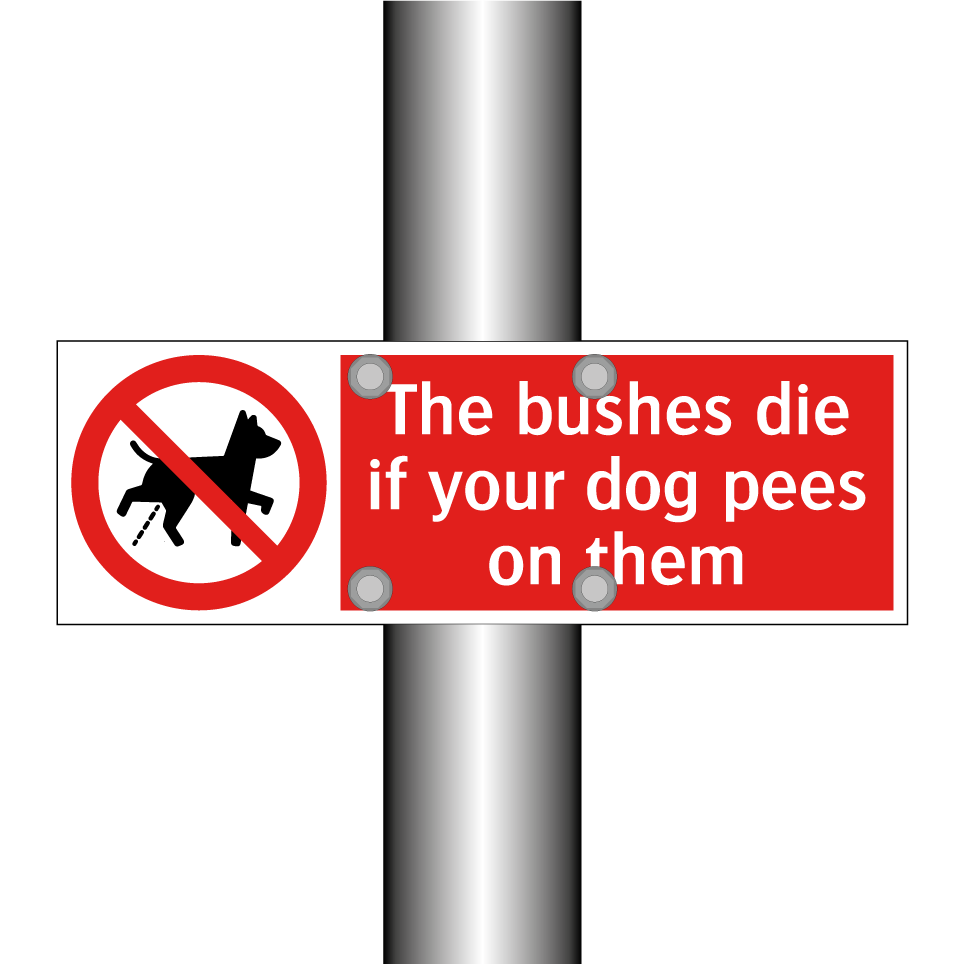 The bushes die if your dog pees on them