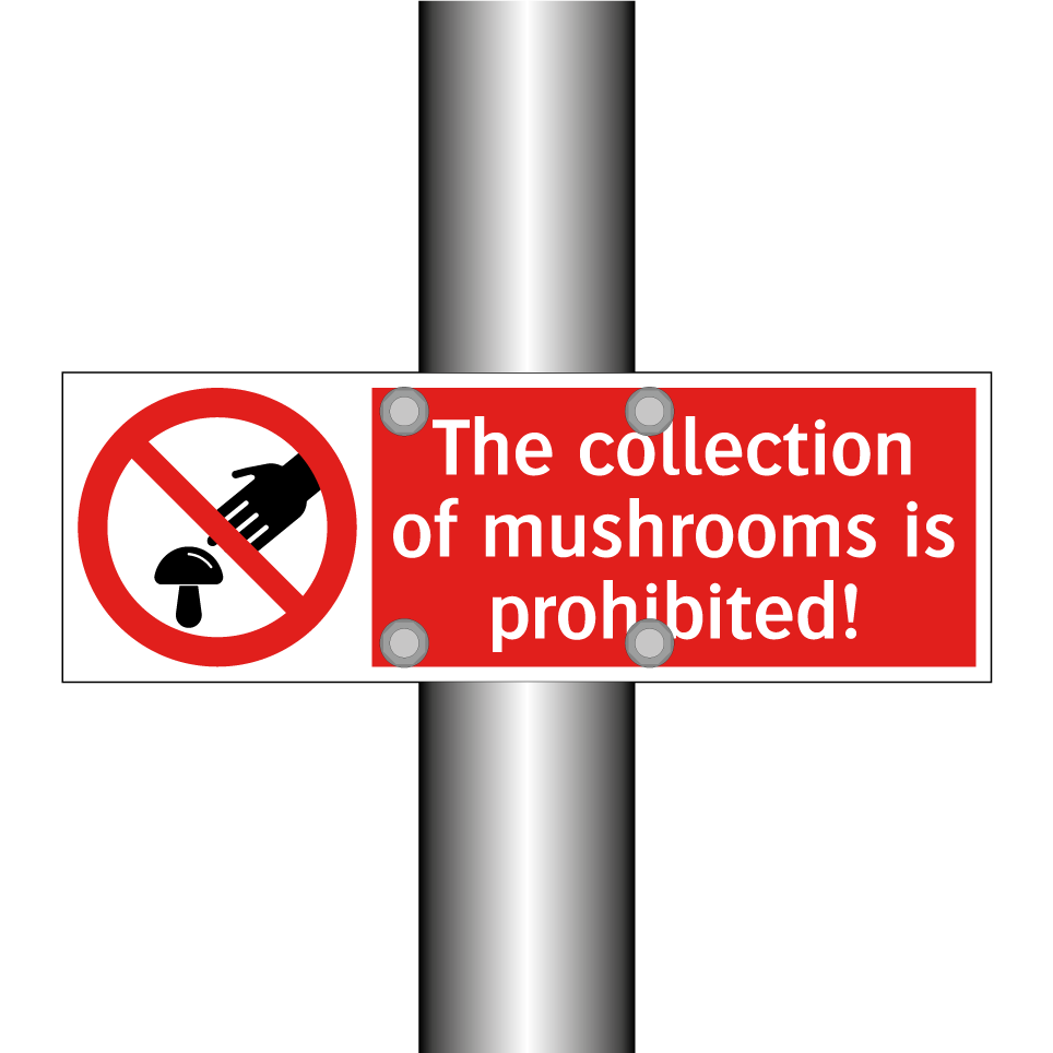 The collection of mushrooms is prohibited!