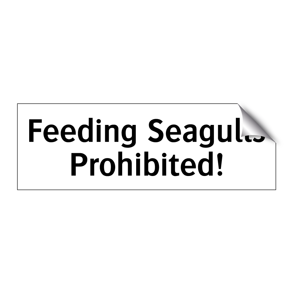 Feeding Seagulls Prohibited!