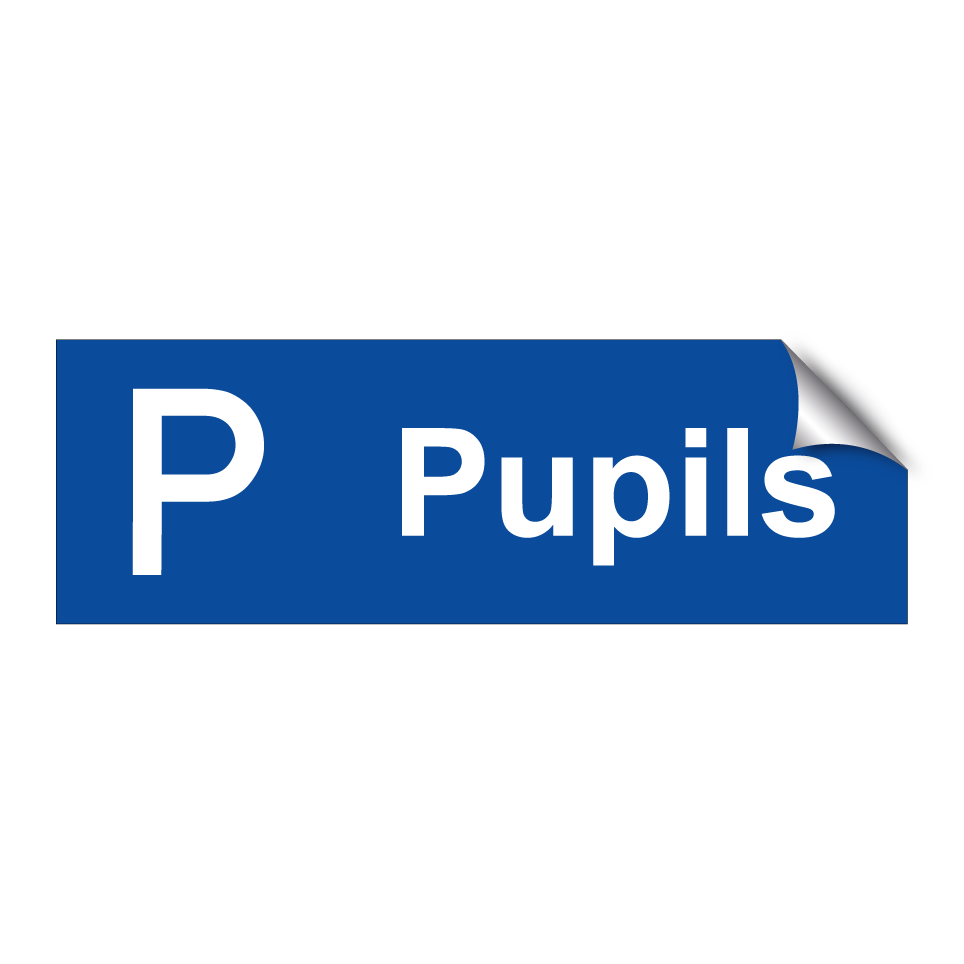 Pupils