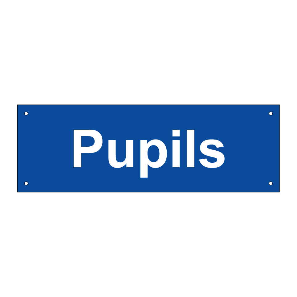 Pupils