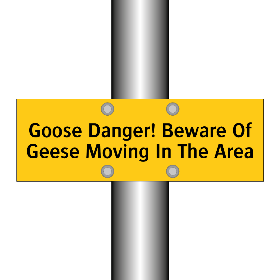 Goose Danger! Beware Of Geese Moving In The Area
