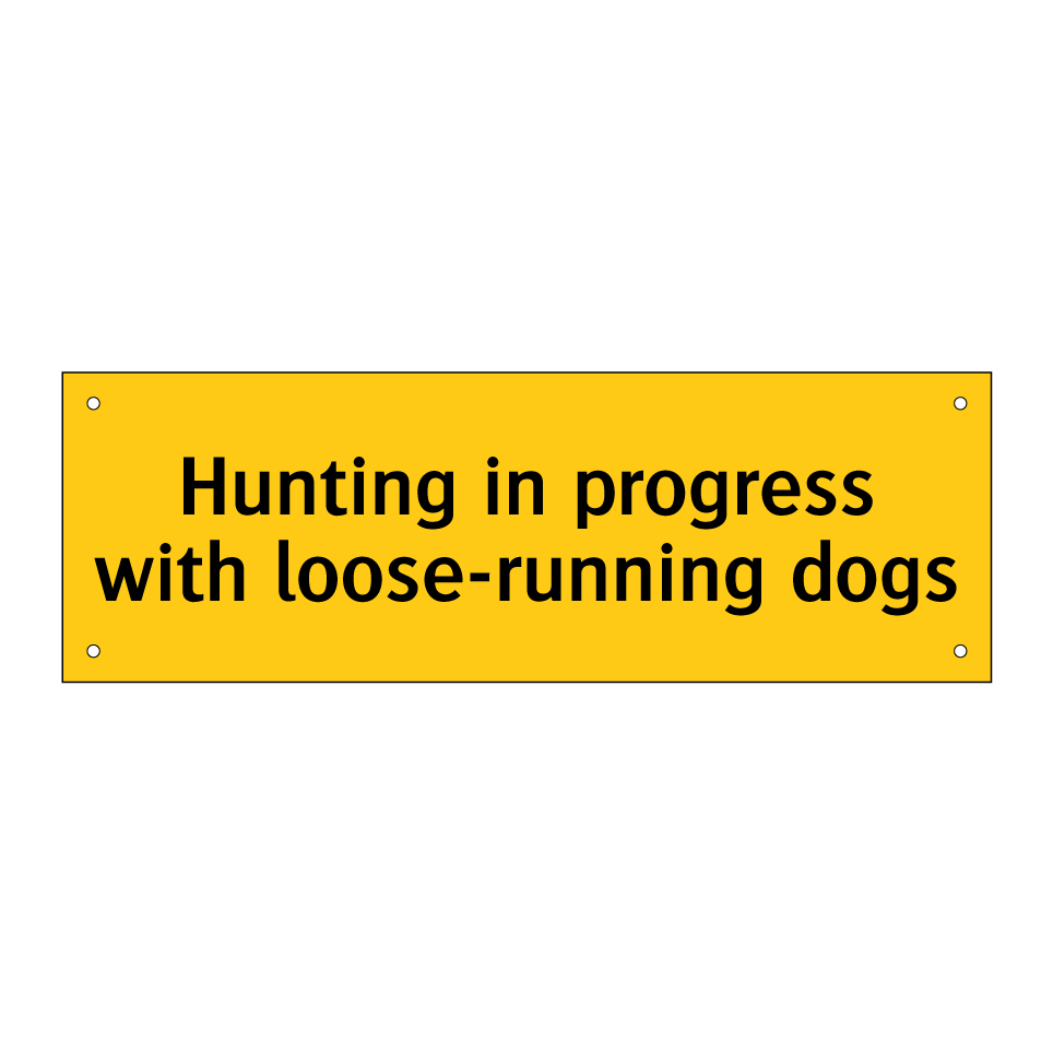 Hunting in progress with loose-running dogs