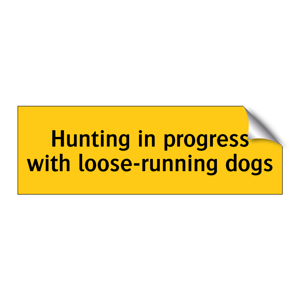 Hunting in progress with loose-running dogs