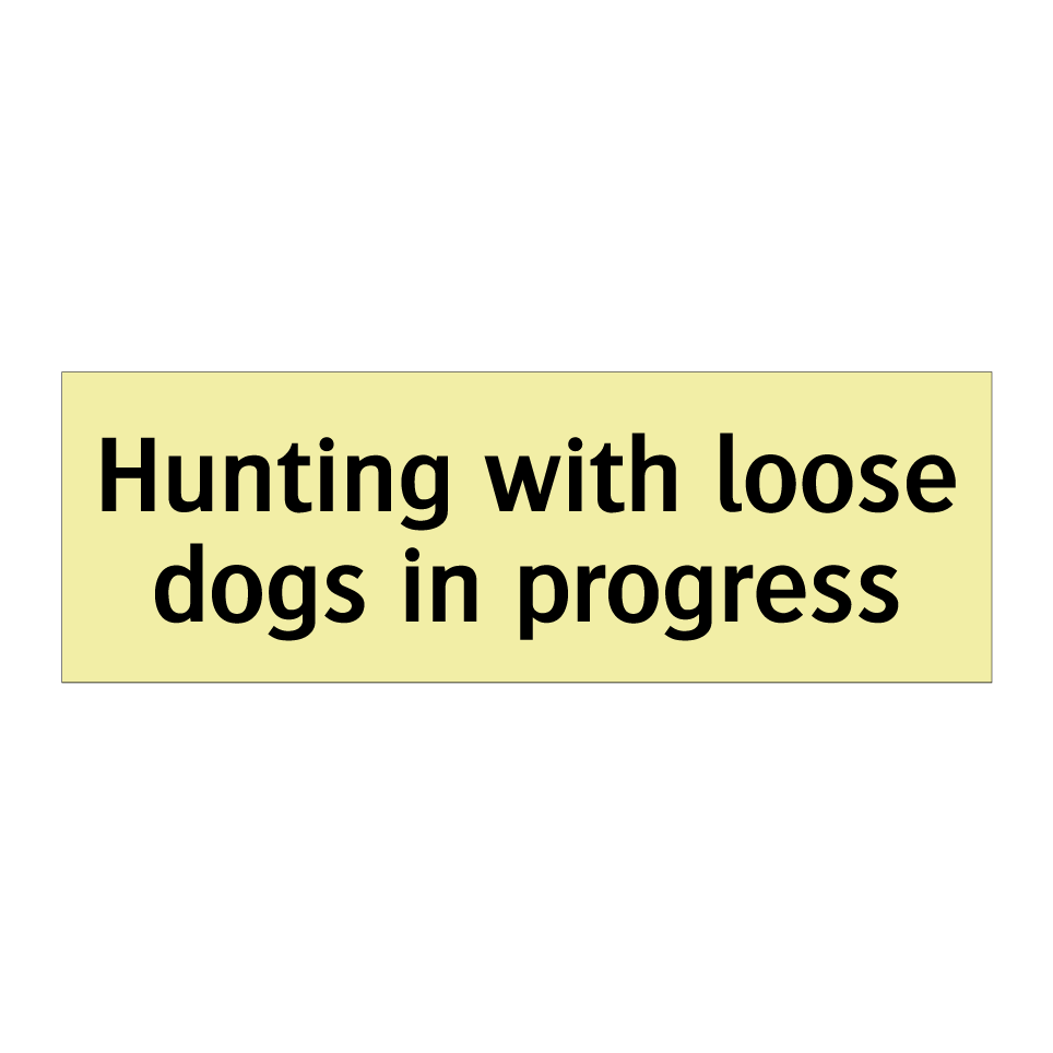 Hunting with loose dogs in progress