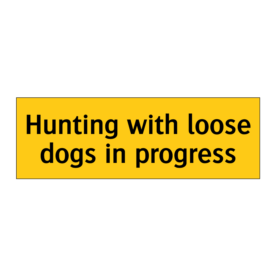 Hunting with loose dogs in progress