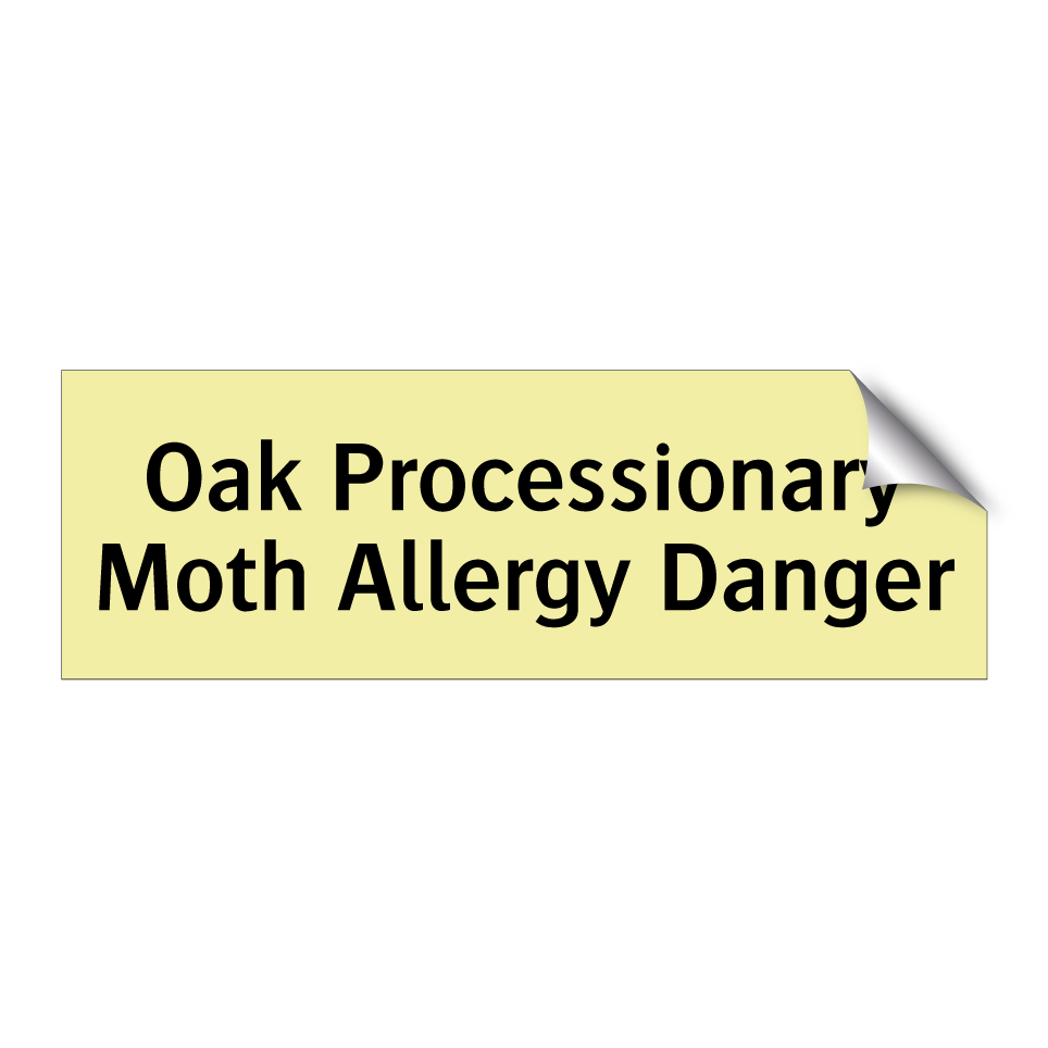 Oak Processionary Moth Allergy Danger