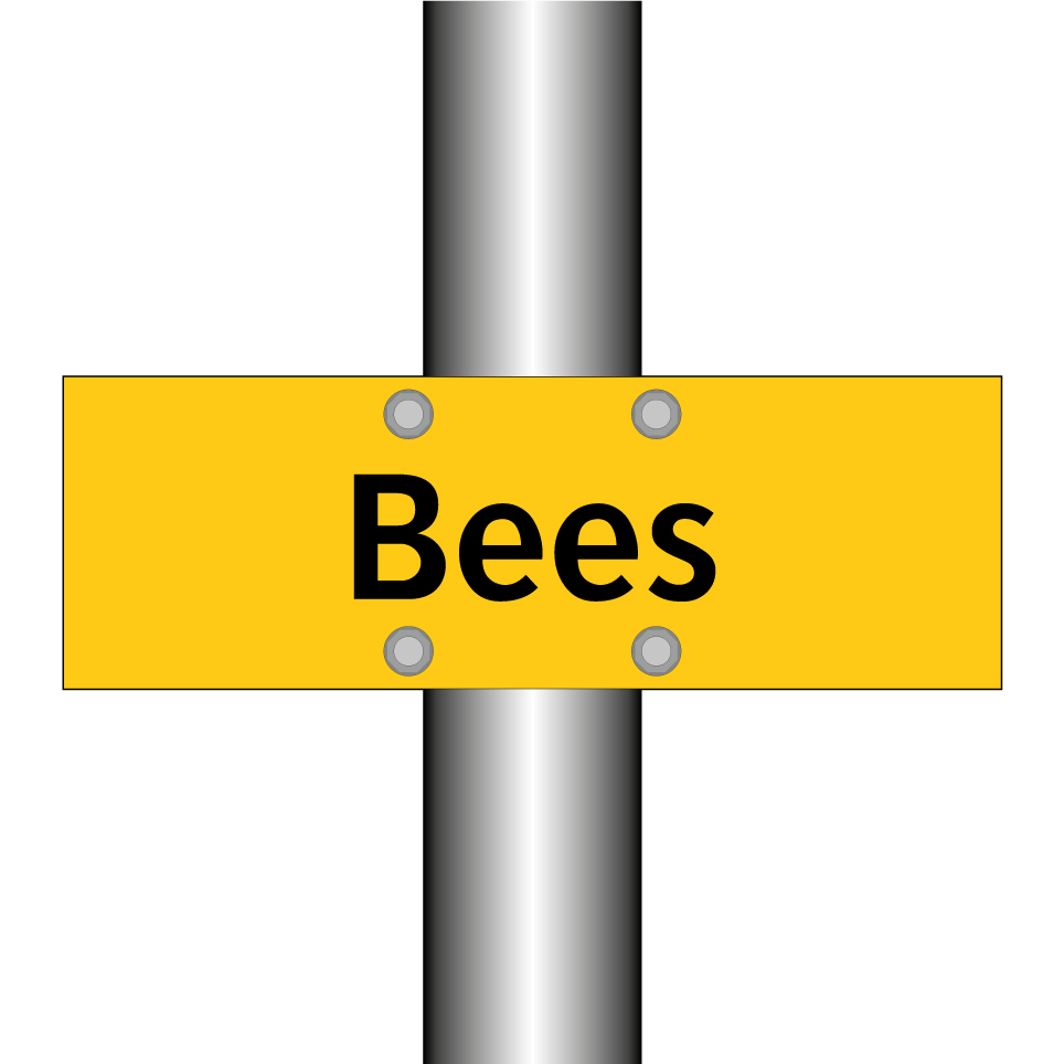Bees