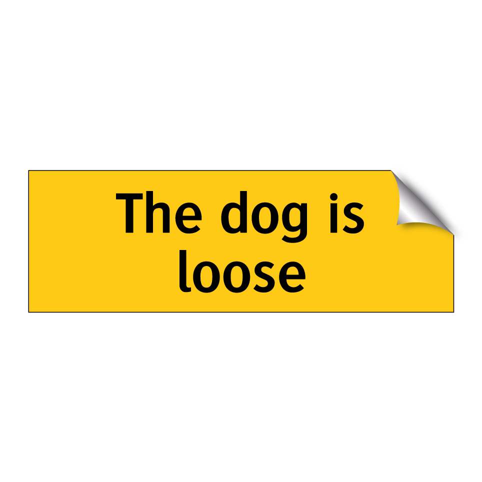 The dog is loose
