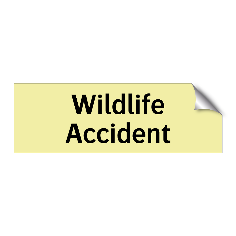 Wildlife Accident