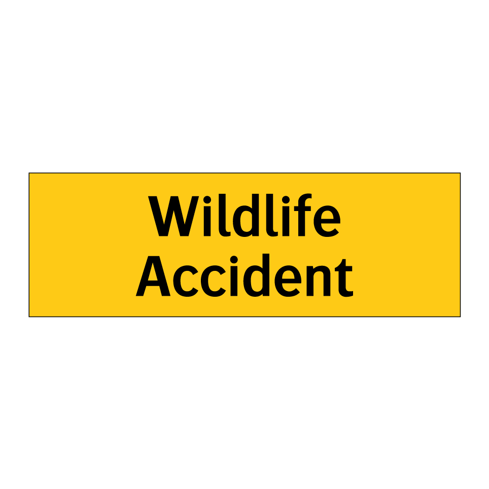 Wildlife Accident