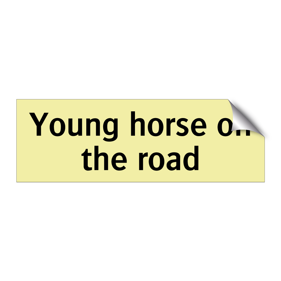 Young horse on the road