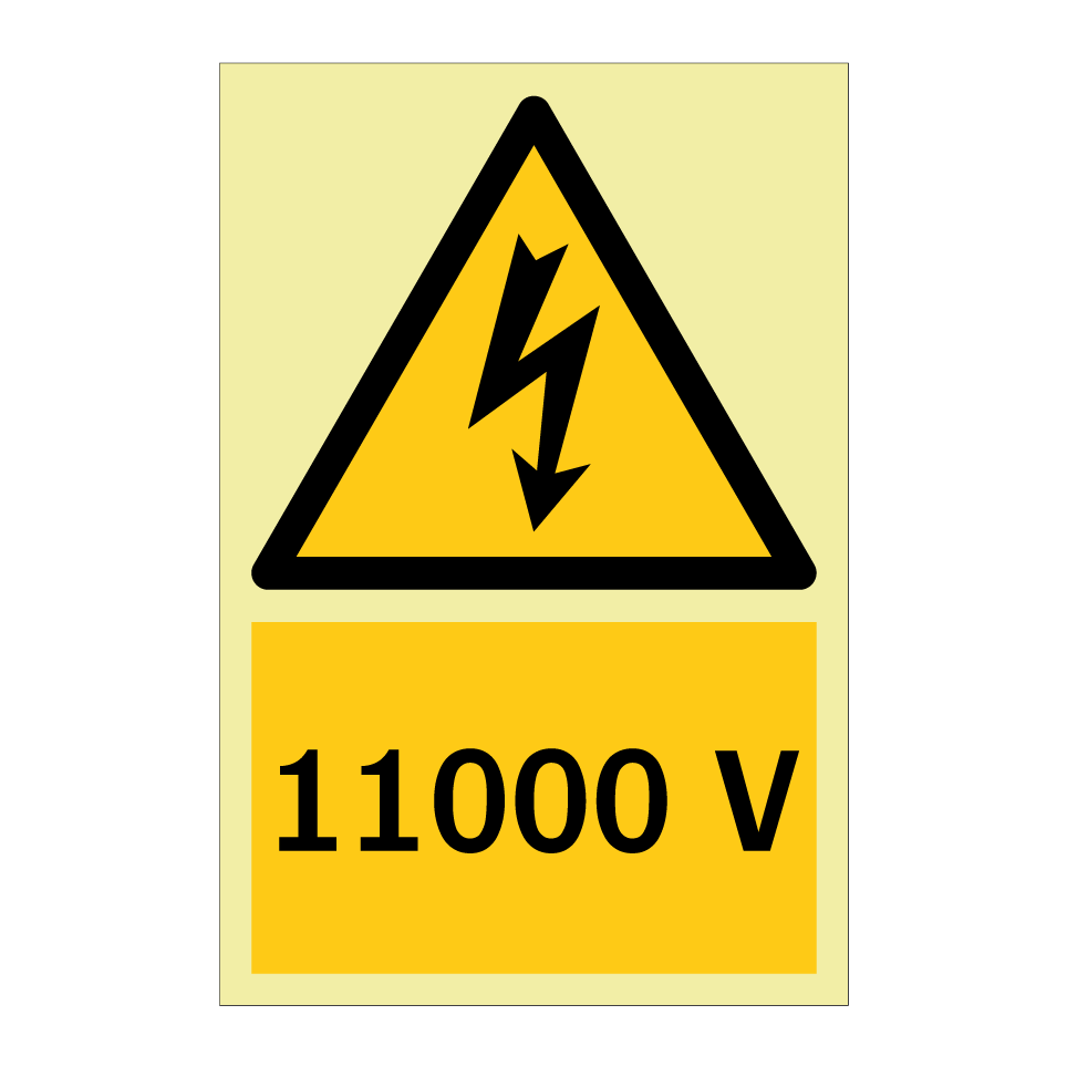 11000 V