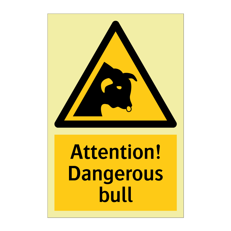Attention! Dangerous bull