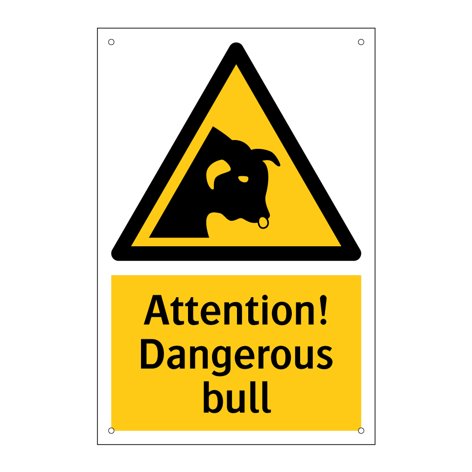 Attention! Dangerous bull